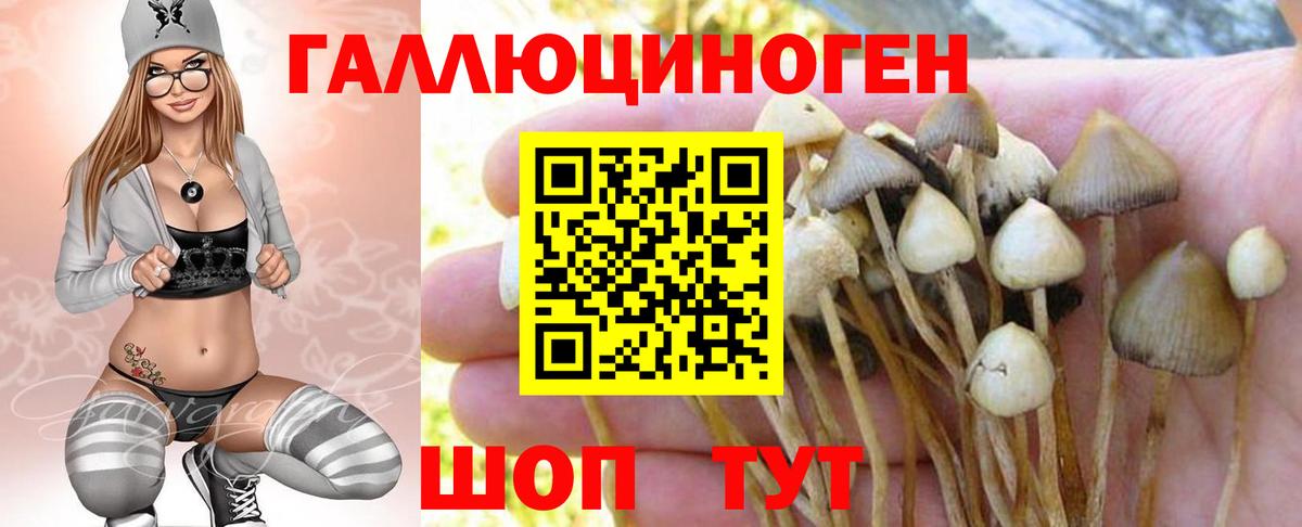 Галлюциногенные грибы Psilocybe  цены   Обь  Вход с VPN 