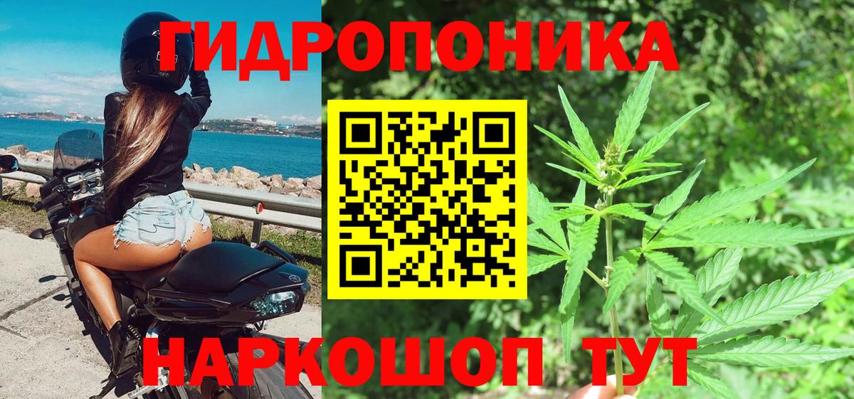 Каннабис планчик  Бошки Шишки Bruce Banner  Бошки Шишки тримм  Марихуана MAZAR  Вход с VPN  Обь 